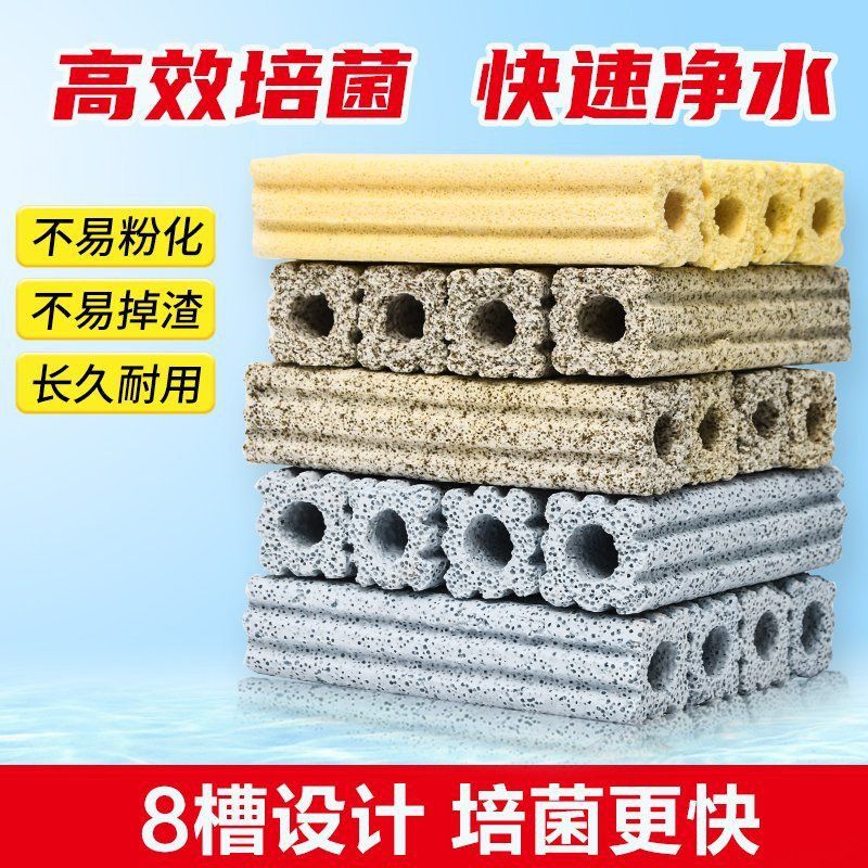 哪些品牌細(xì)菌屋性價(jià)比最高? 龍魚百科 第6張 哪些品牌細(xì)菌屋性價(jià)比最高? 哪些品牌細(xì)菌屋性價(jià)比最高? 龍魚百科 第6張