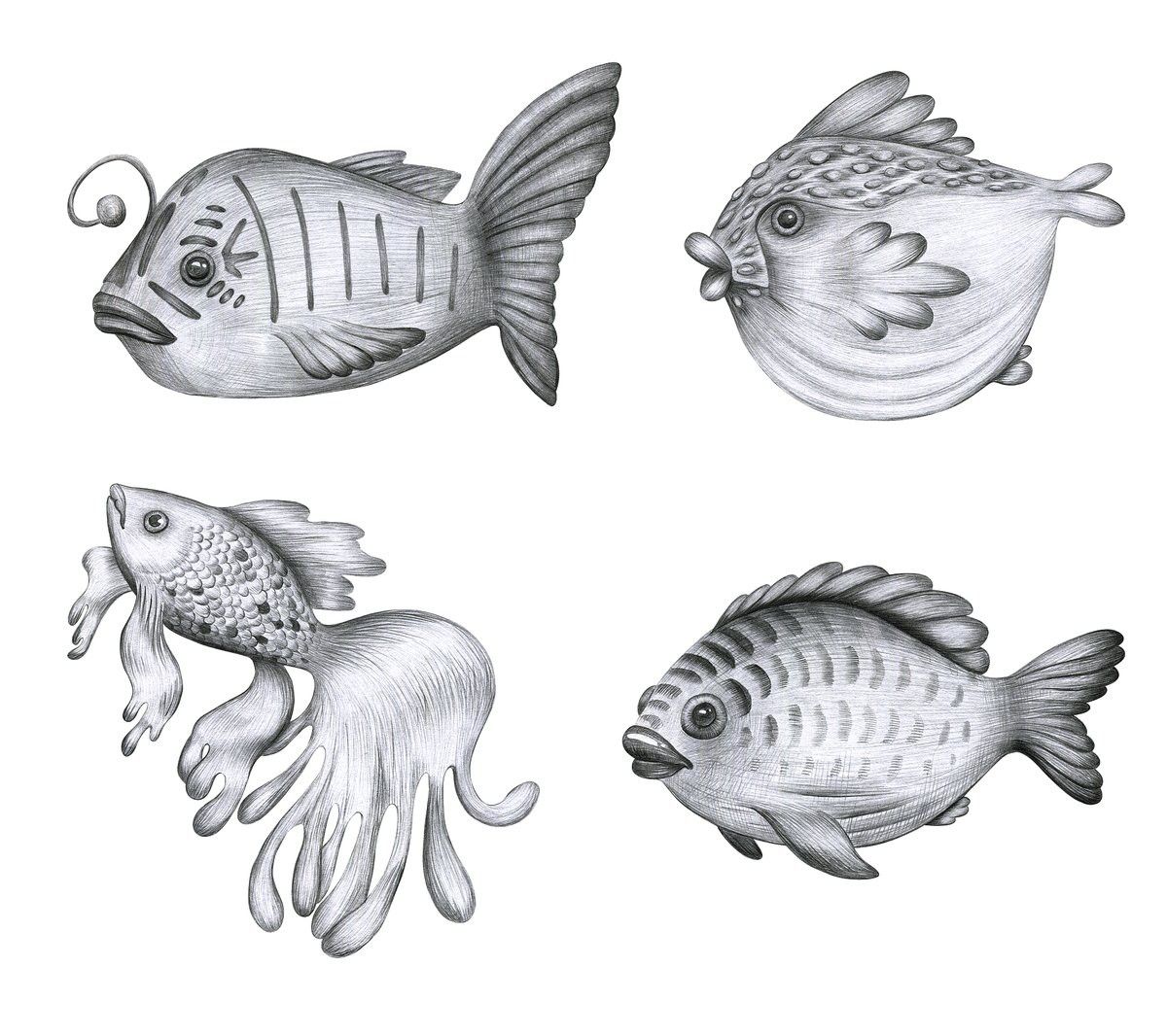 有沒(méi)有適合初學(xué)者的金龍魚(yú)線描教程？