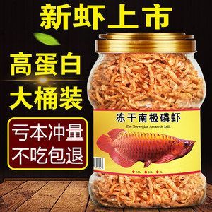 龍魚不吃干蝦：龍魚不喜歡吃干蝦嗎？