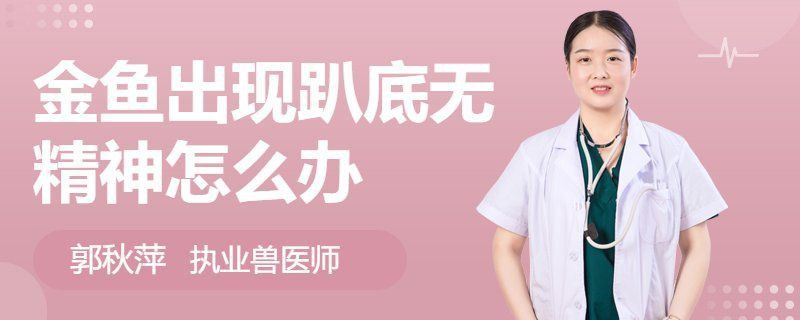 金魚趴缸底時(shí)應(yīng)該如何處理？