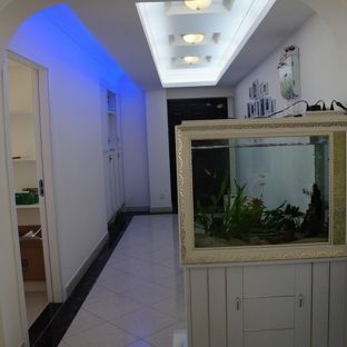 家里魚缸放在正對門口好嗎（如何用魚缸提升家居風水魚缸財位布置技巧）