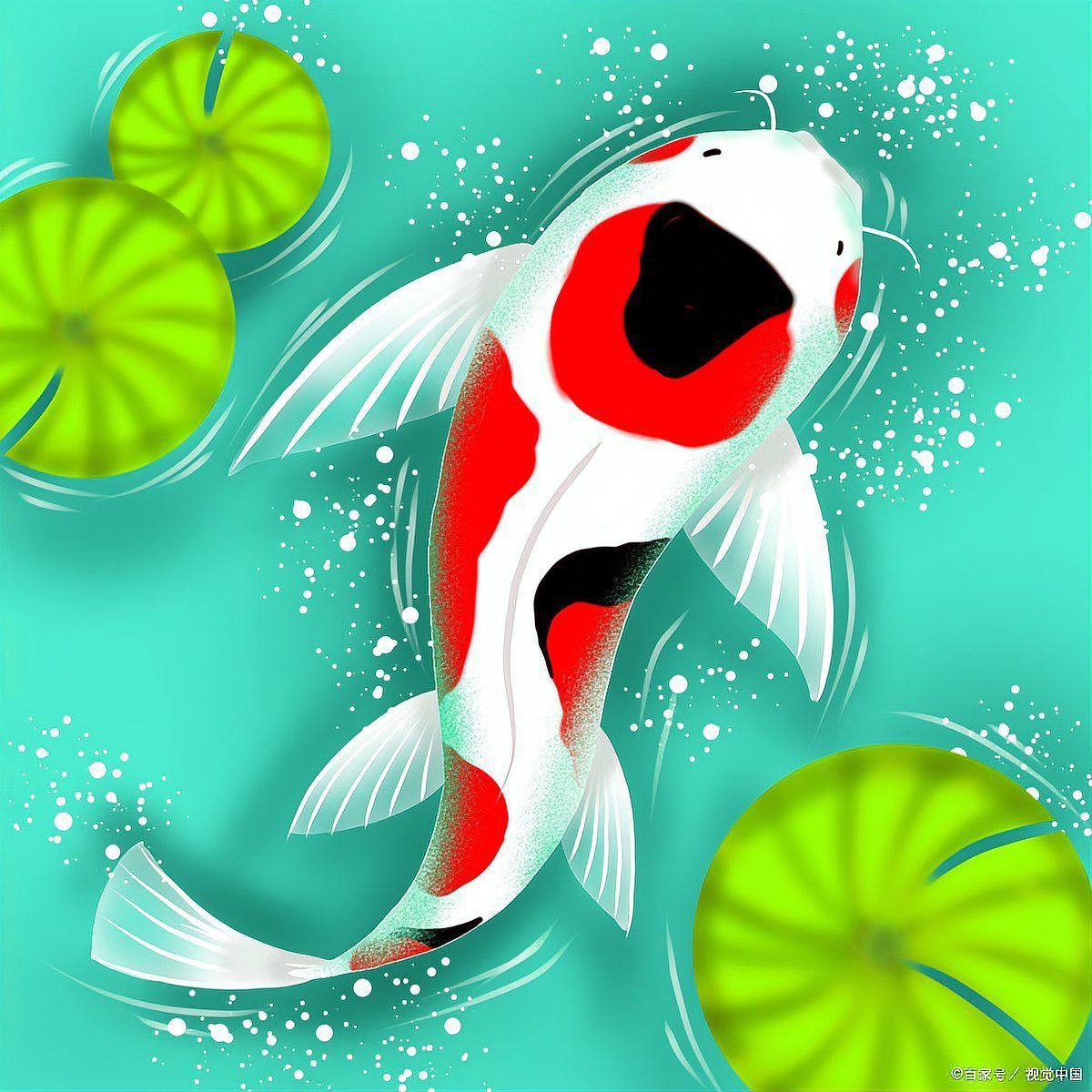 鯉魚的寓意和象征