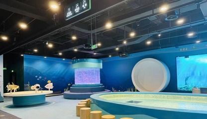 龍魚教育集團：上海小龍魚教育發(fā)展有限公司