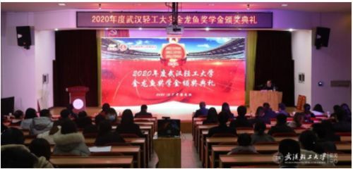 龍魚教育集團：上海小龍魚教育發(fā)展有限公司