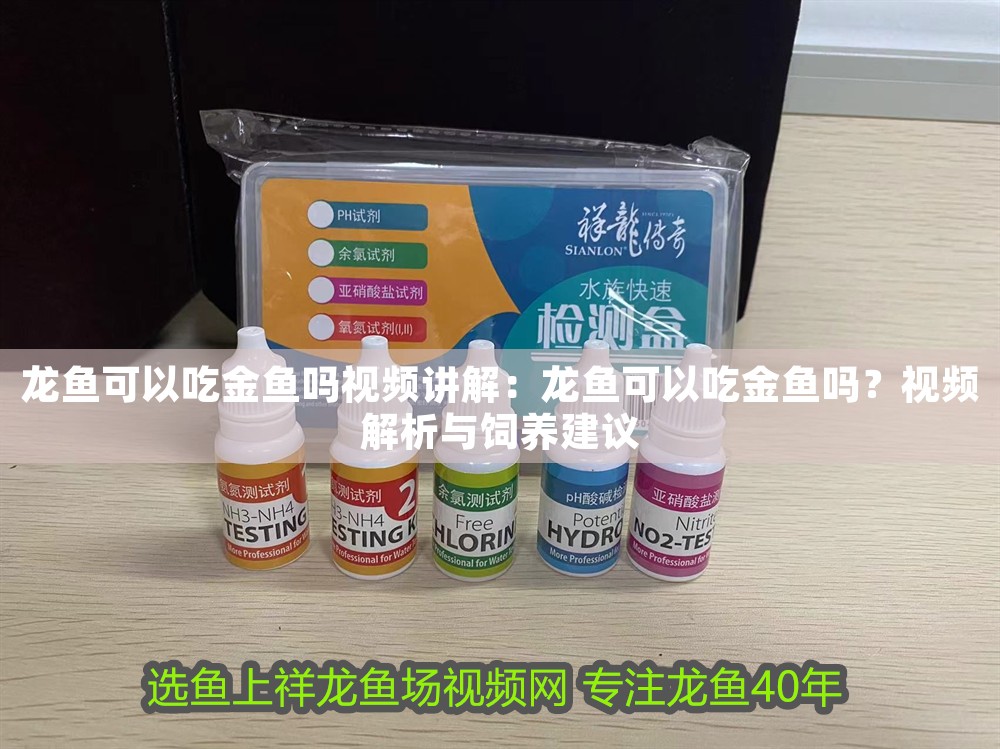 龍魚可以吃金魚嗎視頻講解：龍魚可以吃金魚嗎？視頻解析與飼養(yǎng)建議