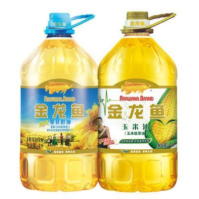 養金龍魚的好處是什么意思：養金龍魚的好處是什么意思養金龍魚的好處是什么