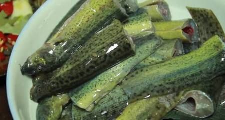 給龍魚喂泥鰍需要去除內臟嗎（吃泥鰍到底要不要去內臟，教你簡單這幾招）