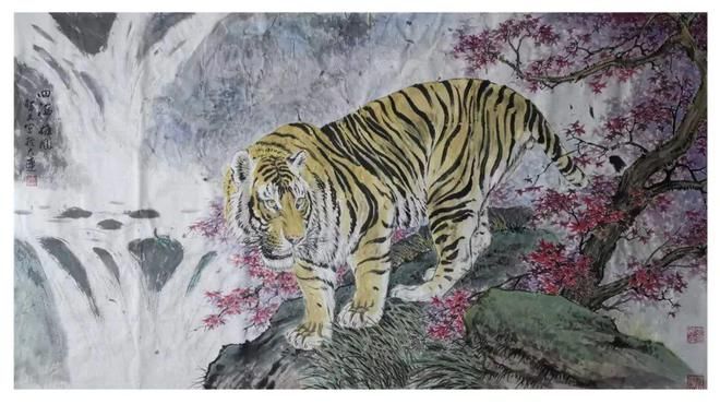 紅龍魚年齡怎么看圖解視頻教學（紅龍魚年齡怎么看圖解視頻教學大全）