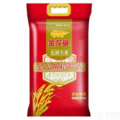 紅龍魚背景用什么顏色好呢視頻教學(xué)（紅龍魚背景用什么顏色好呢視頻教學(xué)下載）
