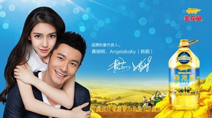 金龍魚形象代言人，金龍魚代言人選擇標準