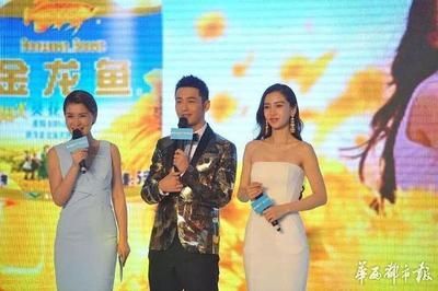 金龍魚形象代言人，金龍魚代言人選擇標準
