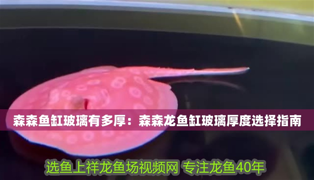 森森魚缸玻璃有多厚：森森龍魚缸玻璃厚度選擇指南