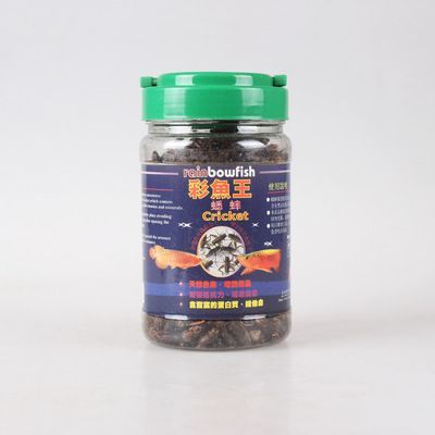 龍魚怕黃粉嗎（龍魚是不是天生“怕”黃粉？）