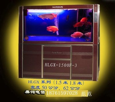 龍魚缸的寬度多少合適：龍魚缸寬度多少合適
