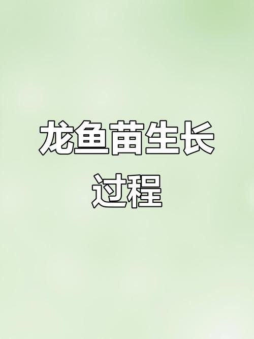 龍魚苗一個月能長多大圖片