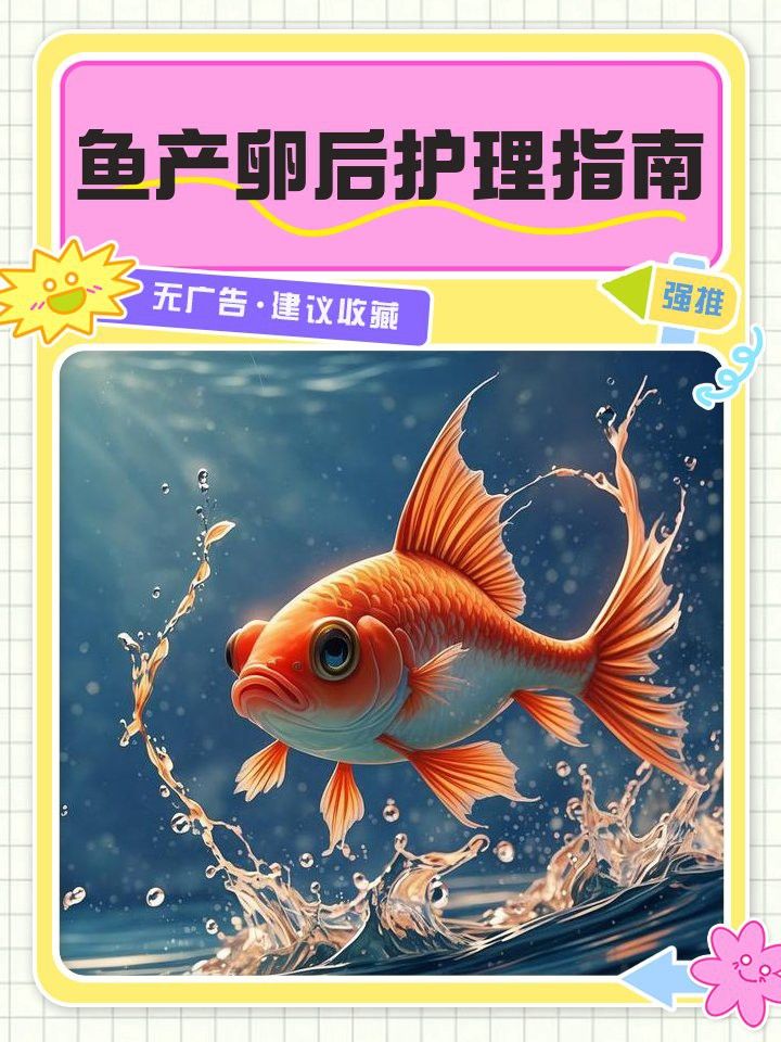紅龍魚繁殖后如何照顧魚卵？