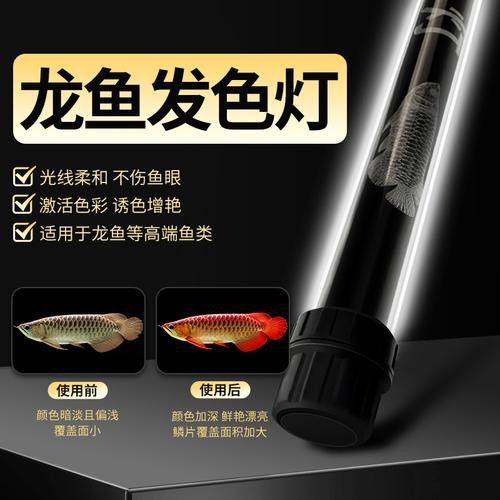 金龍魚專用燈光譜圖