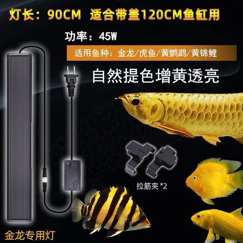 金龍魚專用燈光譜圖