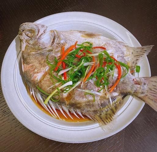 金鼓魚圖片