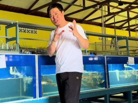 赤元素紅龍魚