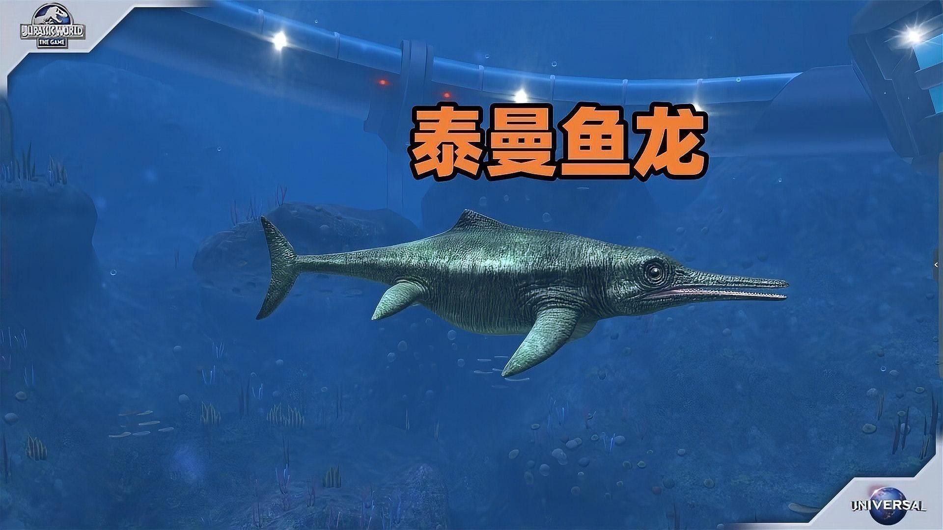 三角龍魚圖片大全高清