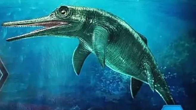 三角龍魚圖片大全高清