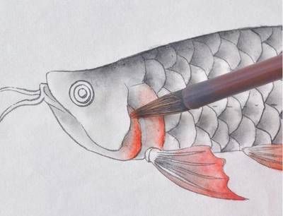簡(jiǎn)單的龍魚(yú)怎么畫(huà)（怎么畫(huà)一條簡(jiǎn)單的龍魚(yú)）