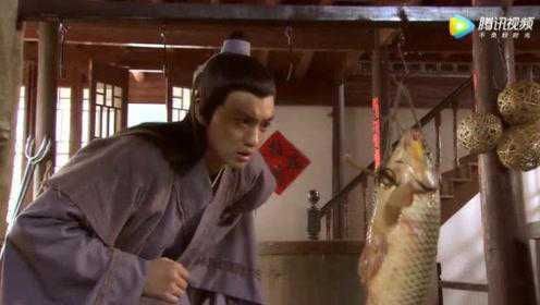 鯉魚被撞了頭吐血視頻