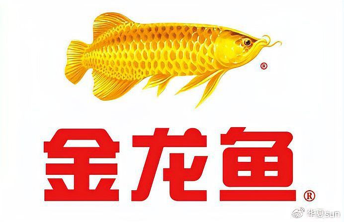 金龍魚是哪里品牌