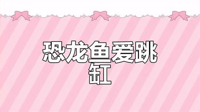 恐龍魚跳缸原因分析圖片
