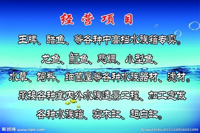 龍魚商家微信怎么登錄：龍魚商家如何通過微信登錄龍魚商家微信怎么登錄