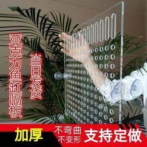 紅龍魚胸鰭變形了（巨型紅龍魚胸鰭斷掉，依然霸氣十足）