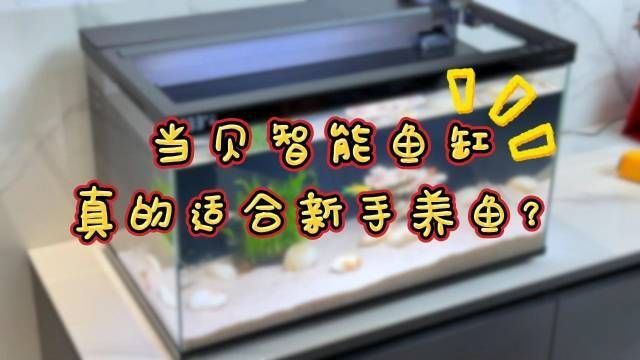 口碑較好的魚缸