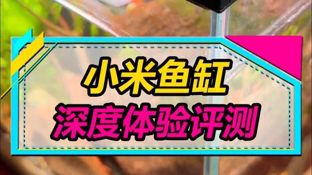 口碑較好的魚缸