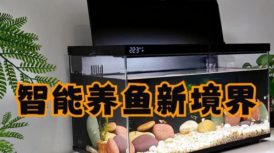 口碑較好的魚缸