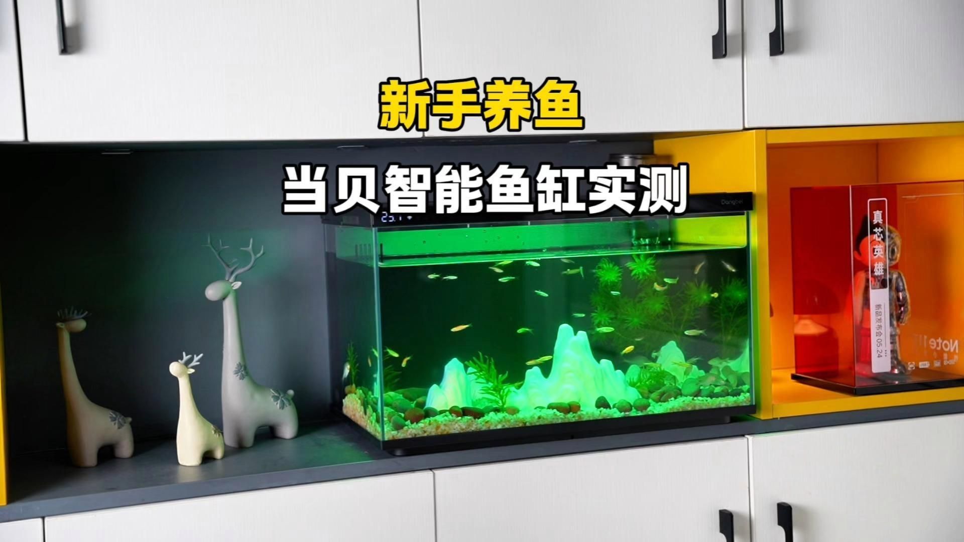 口碑較好的魚缸