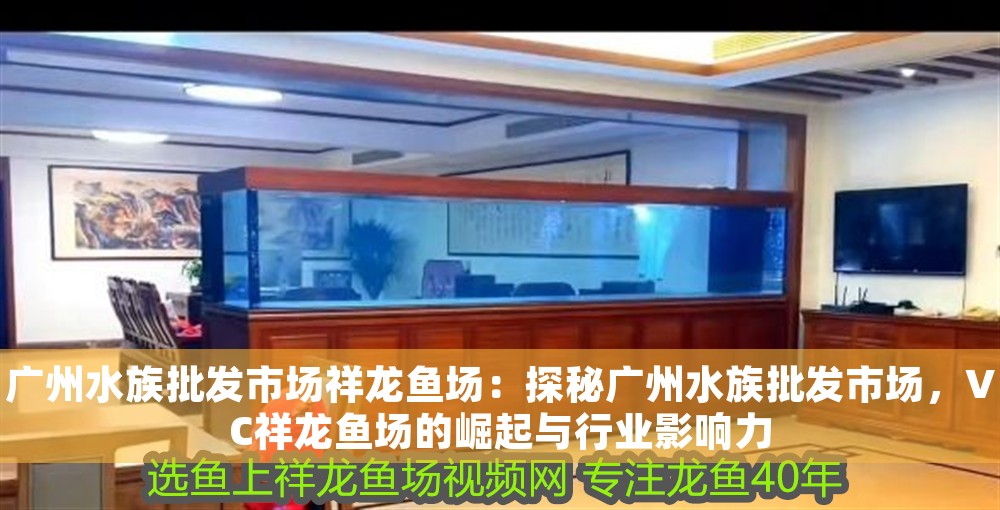 廣州水族批發市場祥龍魚場：探秘廣州水族批發市場，VC祥龍魚場的崛起與行業影響力