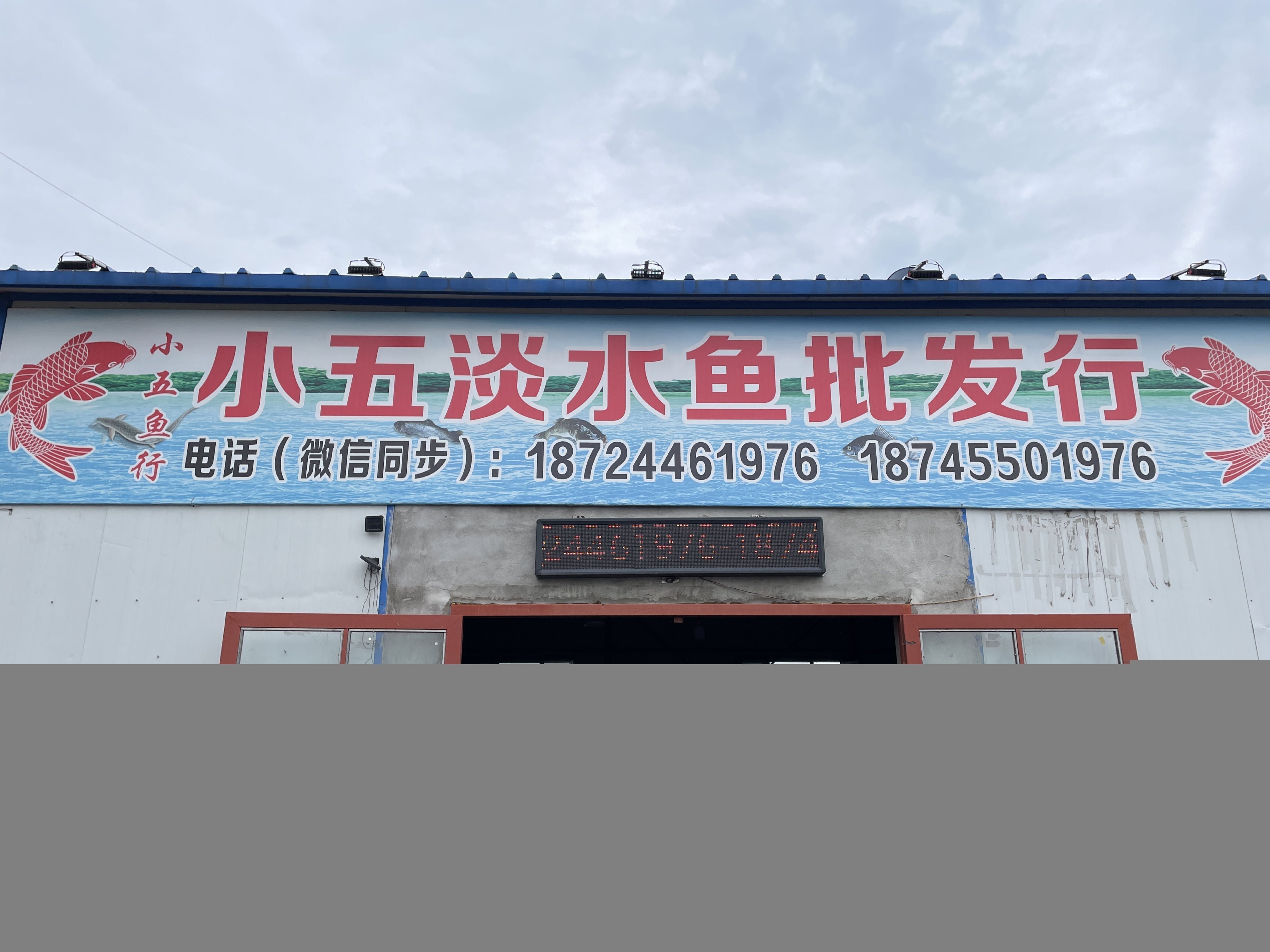 哈爾濱賣龍魚的地方在哪兒