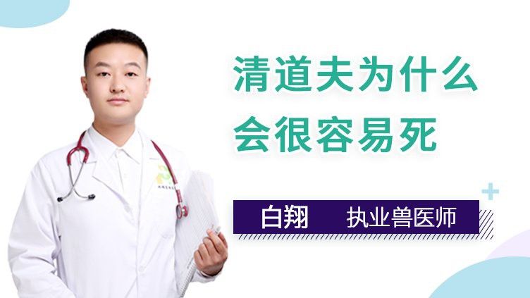 清道夫和龍魚養,清道夫都活不久嗎