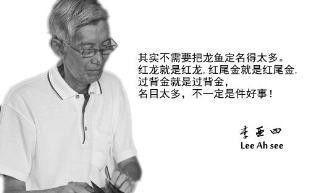 李亞四金龍魚特點