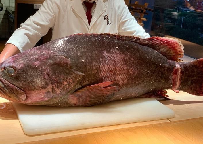海底龍魚圖片