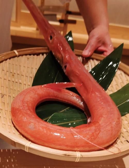 海底龍魚圖片