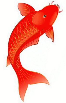 紅龍魚微信頭像動態GIF素材有哪些？