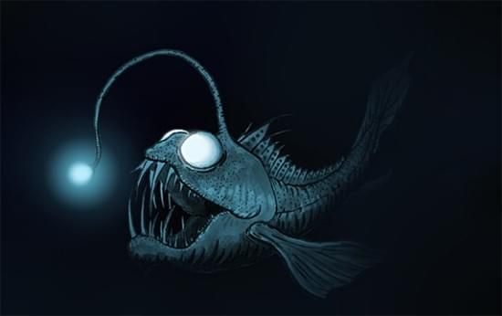龍魚咬破了怎么辦 龍魚咬破了怎么辦 龍魚百科 第4張