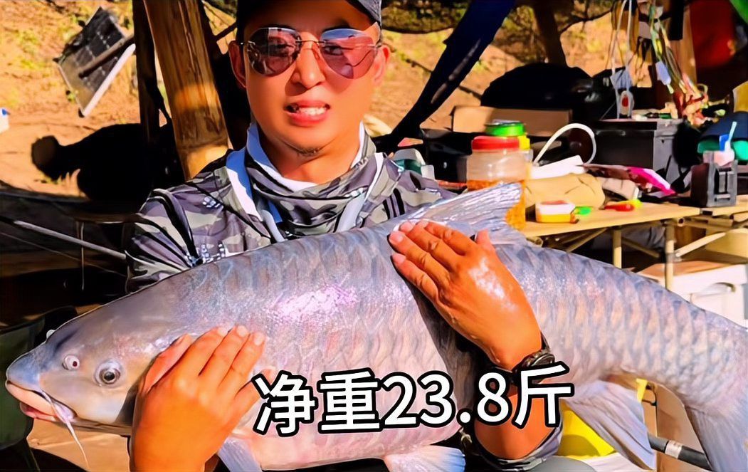 瀾滄江龍魚價格多少一條