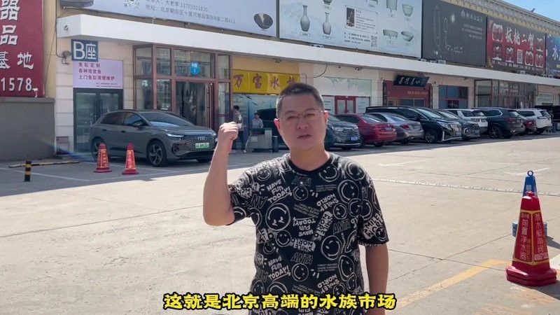 北京哪里賣龍魚(yú)便宜又好的