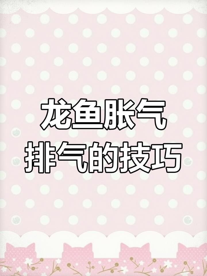 龍魚漲肚期間需要換水嗎？