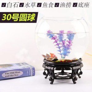 龍魚缸里養小魚直接讓龍魚吃（在龍魚缸中飼養供食用的小魚，需要注意以下幾點）