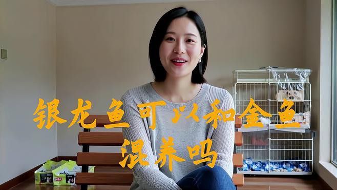 龍魚是淡水還是海水養殖好：龍魚是淡水養殖好還是海水養殖好