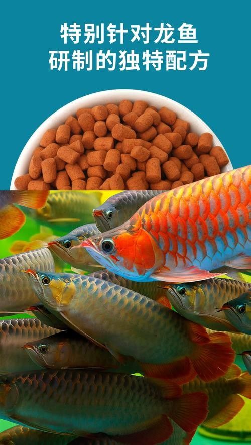 龍魚是什么顏色的圖片